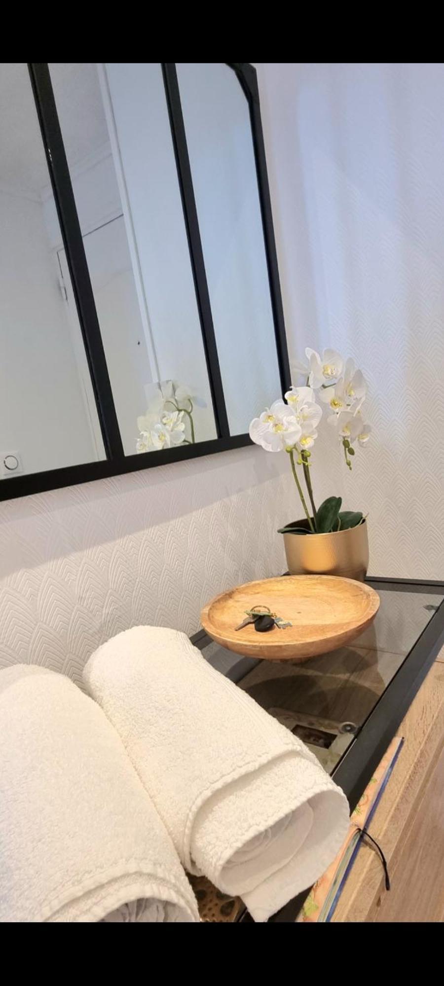 Appartement Golden Mont Centre Pau